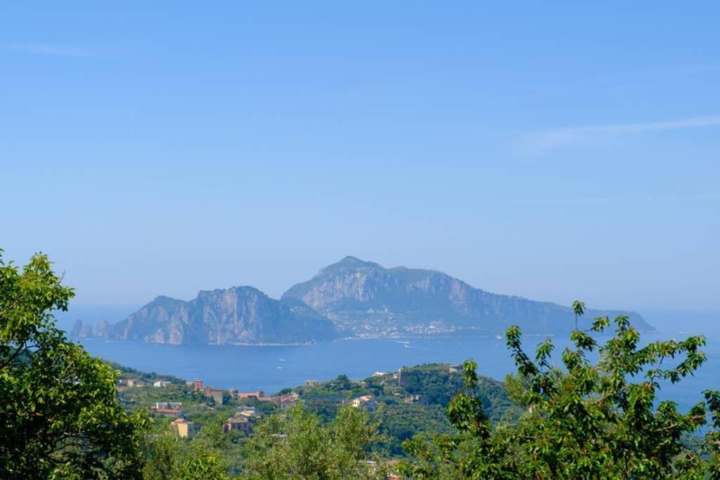 Domus Aqua Viva Villa Massa Lubrense Kültér fotó