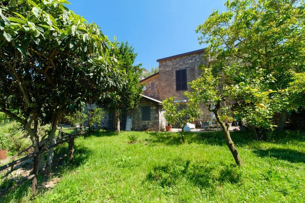 Domus Aqua Viva Villa Massa Lubrense Kültér fotó