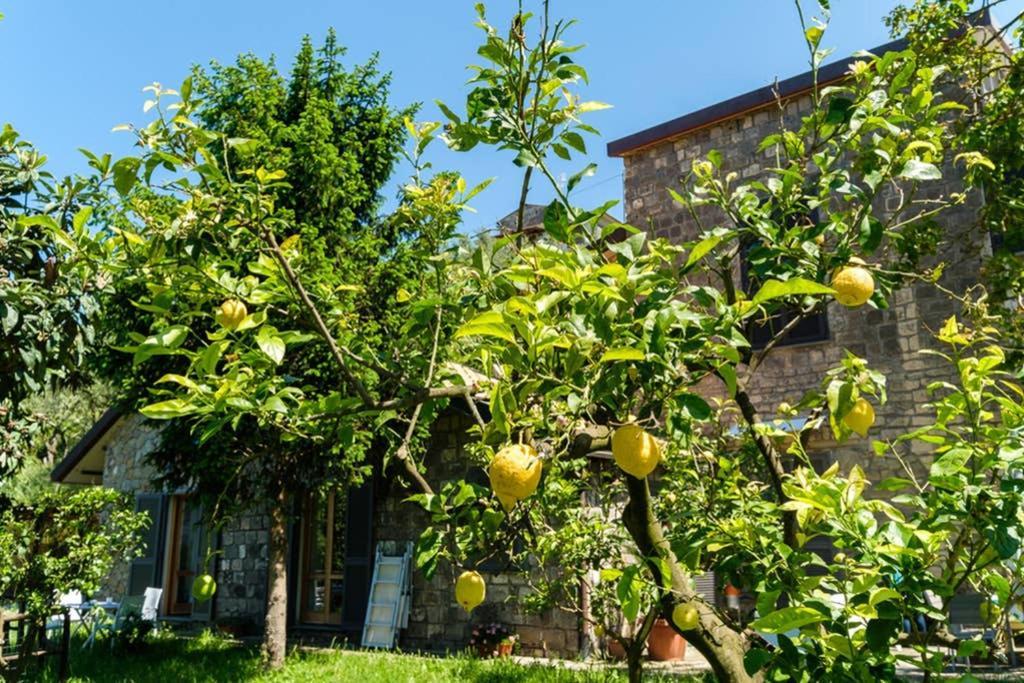 Domus Aqua Viva Villa Massa Lubrense Kültér fotó